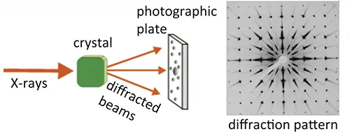 X-ray crystallography setup